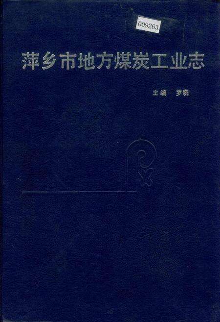 《萍乡市地方煤炭工业志》.pdf_江西省志缩略图