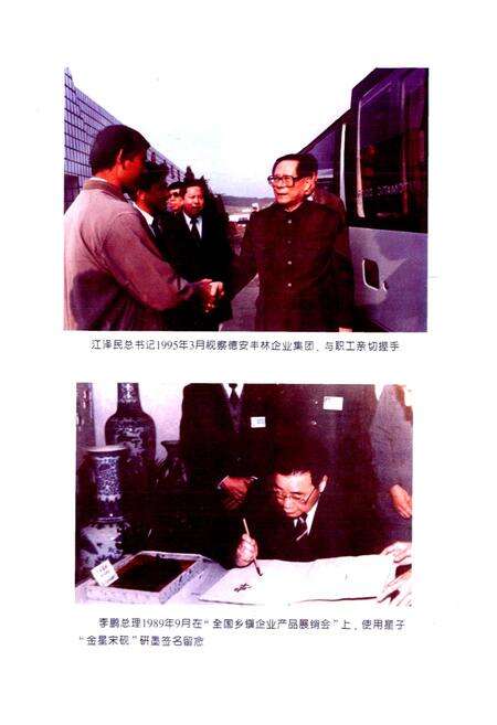 《九江市乡镇企业志》.pdf_江西省志预览图4