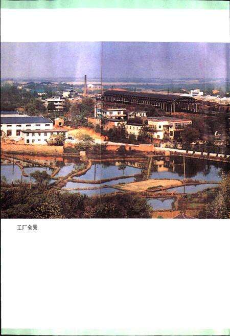 《铁道部鹰潭木材防腐厂志》.pdf_江西省志预览图5