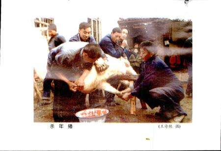 《九江市风俗志》.pdf_江西省志预览图5