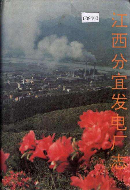 《江西分宜发电厂志》.pdf_江西省志缩略图