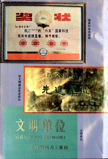 《江西分宜发电厂志》.pdf_江西省志预览图4