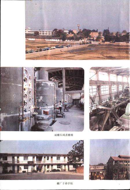 《江西兴国糖厂志》.pdf_江西省志预览图5