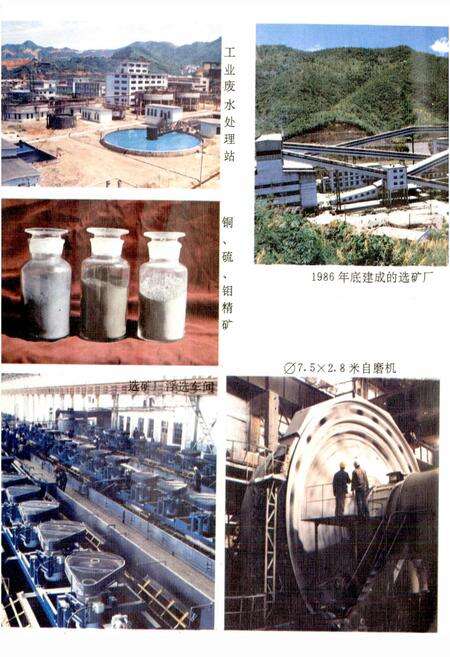 《德兴铜矿志》.pdf_江西省志预览图4