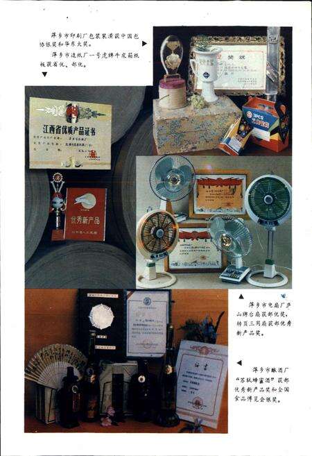 《萍乡市轻化纺工业志》.pdf_江西省志预览图4