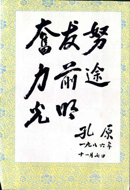 《萍乡发电厂志》.pdf_江西省志预览图2