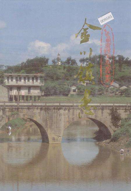 《金川镇志》.pdf_江西省志缩略图