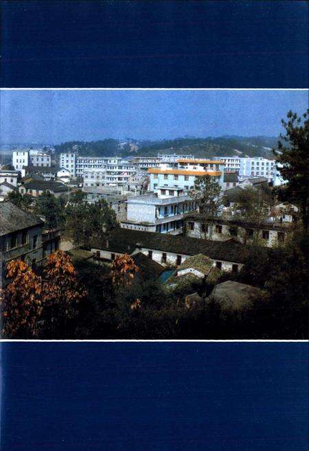 《金川镇志》.pdf_江西省志预览图3