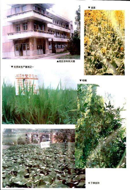 《宜春地区农牧渔业志》.pdf_江西省志预览图5