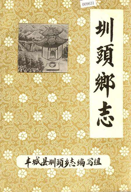 《圳头乡志》.pdf_江西省志缩略图