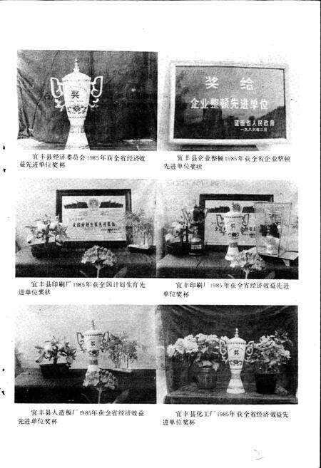 《宜丰县经委国营工业志》.pdf_江西省志预览图4