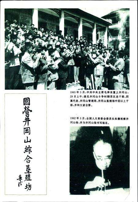 《井冈山垦殖场志》.pdf_江西省志预览图3
