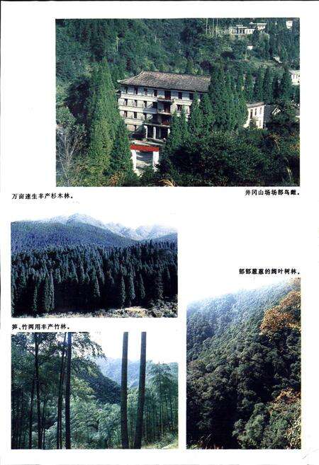 《井冈山垦殖场志》.pdf_江西省志预览图5