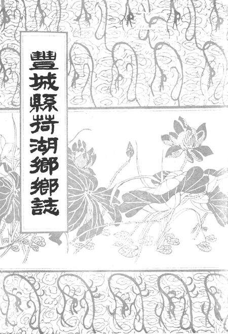 《丰城县荷湖乡乡志》.pdf_江西省志预览图1