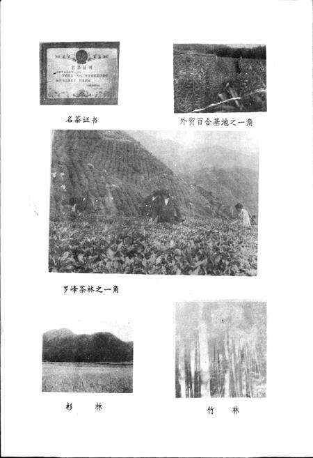 《罗山乡乡志》.pdf_江西省志预览图5