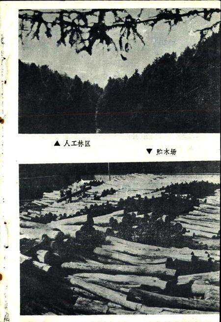 《马头山林场志》.pdf_江西省志预览图3