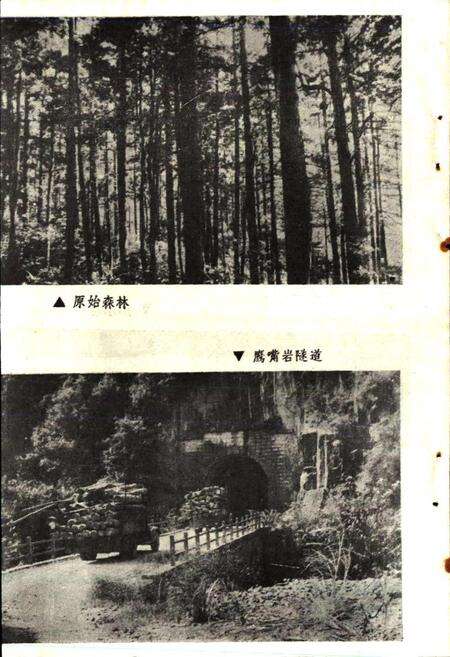 《马头山林场志》.pdf_江西省志预览图4