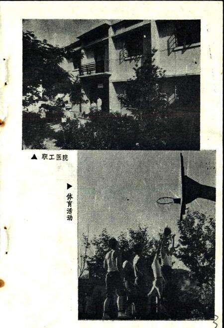 《马头山林场志》.pdf_江西省志预览图5