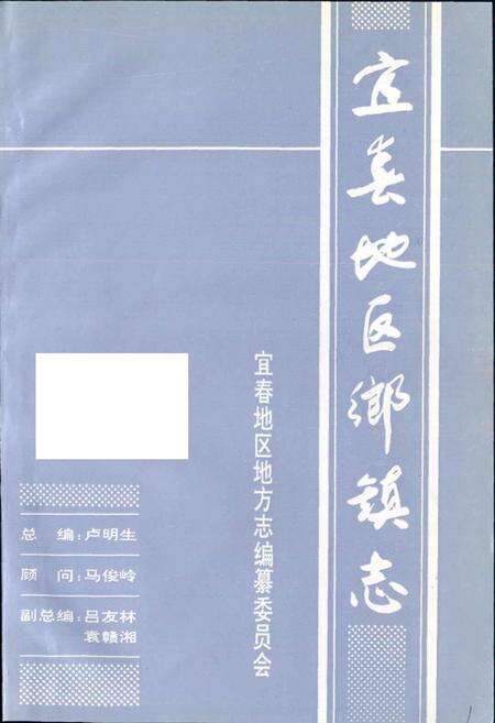 《宜春地区乡镇志》.pdf_江西省志预览图2