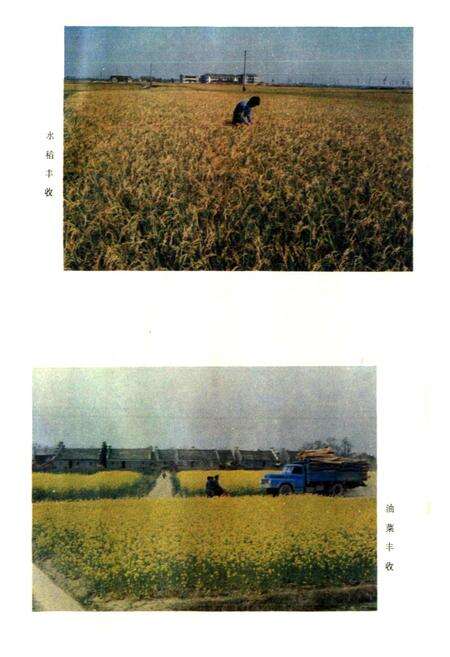 《江西省永修县地名志》.pdf_江西省志预览图5