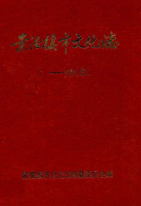 《景德镇市文化志(-1990年)》.pdf_江西省志缩略图