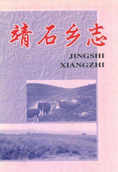 《靖石乡志》.pdf_江西省志缩略图