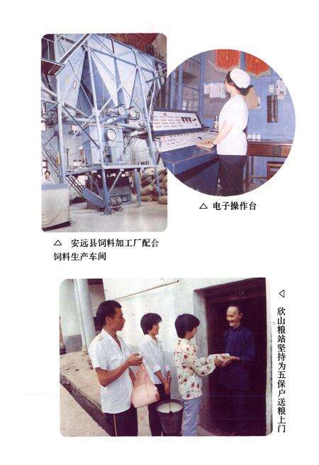 《安远县粮食志》.pdf_江西省志预览图4