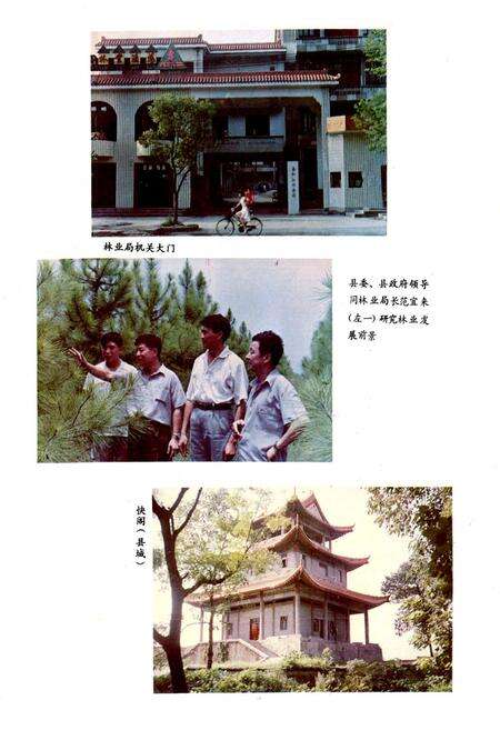 《泰和林业志》.pdf_江西省志预览图4