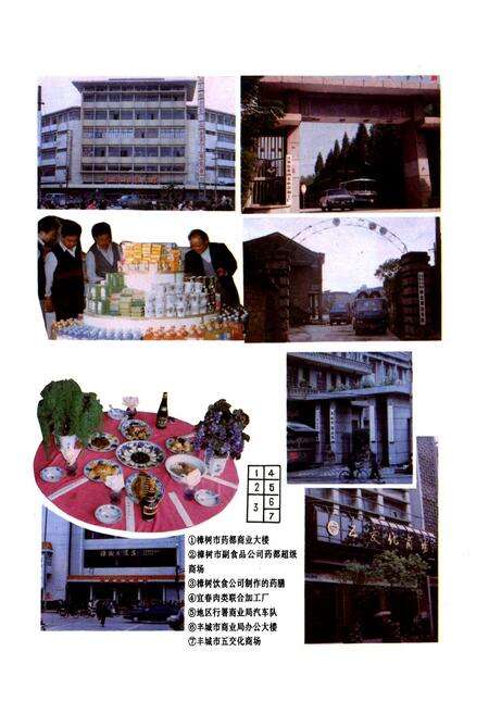 《宜春地区商业志》.pdf_江西省志预览图5