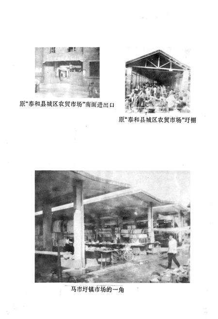 《江西省泰和县工商行政管理志》.pdf_江西省志预览图5