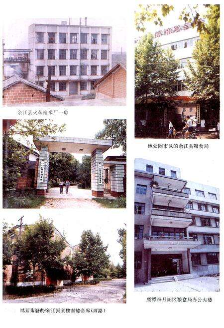 《鹰潭粮食志》.pdf_江西省志预览图4