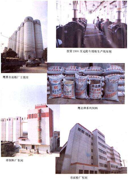 《鹰潭粮食志》.pdf_江西省志预览图5