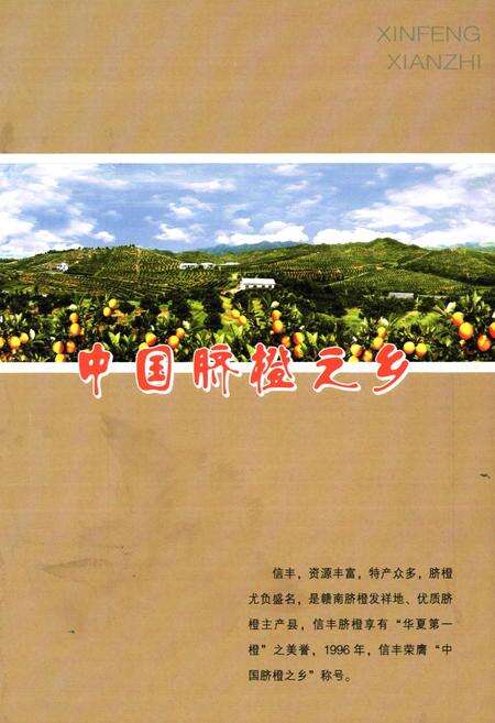 《信丰县志(1986~2006)》.pdf_江西省志预览图1