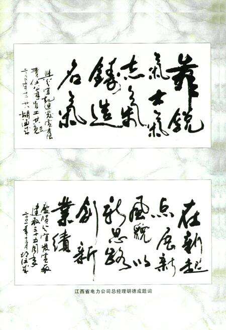 《江西分宜发电厂志第二卷(1988~2000)》.pdf_江西省志预览图2