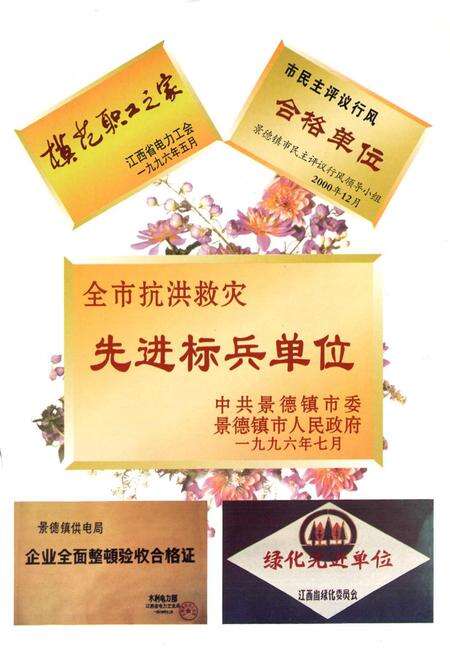 《江西景德镇供电局志(1977~2000)》.pdf_江西省志预览图4
