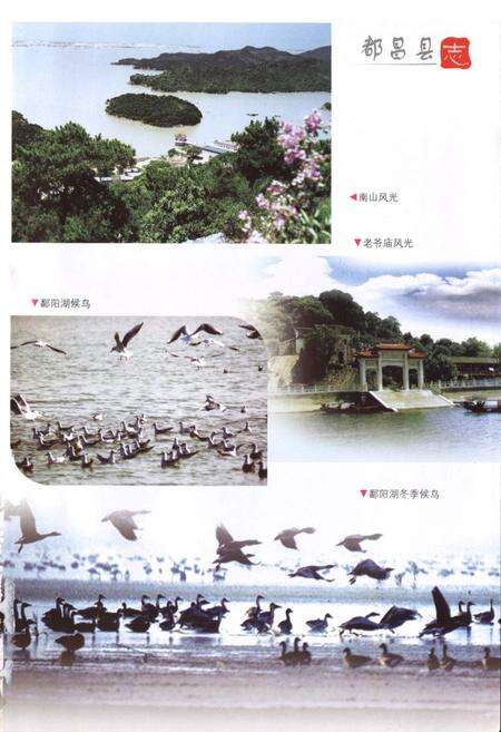 《都昌县志(1990-2005)》.pdf_江西省志预览图5