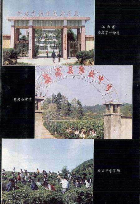 《婺源县教育志》.pdf_江西省志预览图5