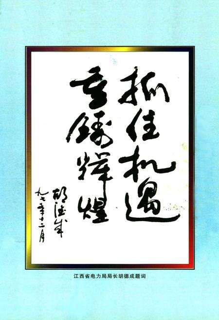 《江西南昌下正街发电厂志第二卷(1987~2000)》.pdf_江西省志预览图2