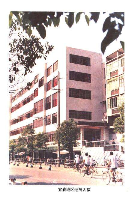 《宜春地区对外经济贸易志》.pdf_江西省志预览图2