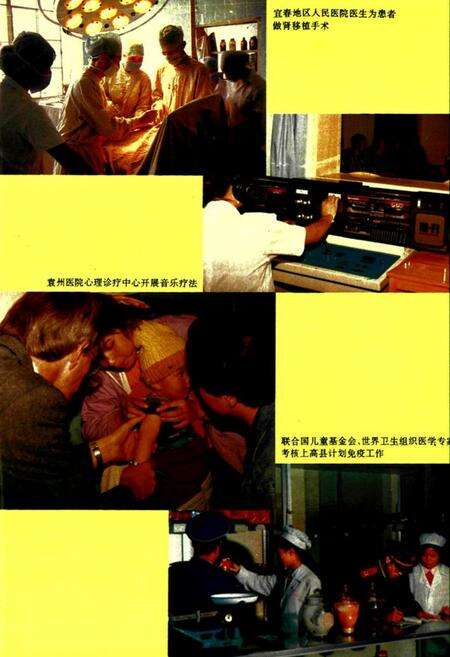 《《宜春地区卫生志》》.pdf_江西省志预览图4