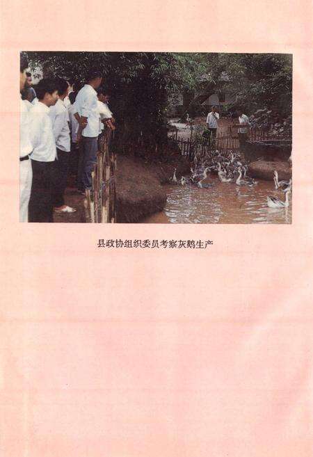 《兴国县政协志》.pdf_江西省志预览图4