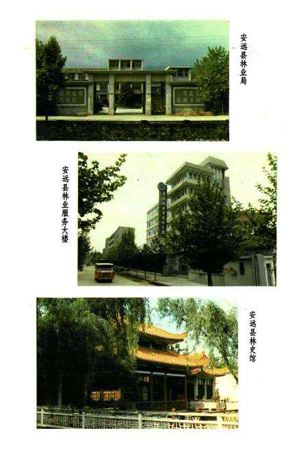 《安远县林业志》.pdf_江西省志预览图4