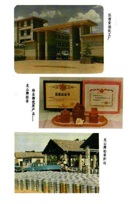 《安远县林业志》.pdf_江西省志预览图5