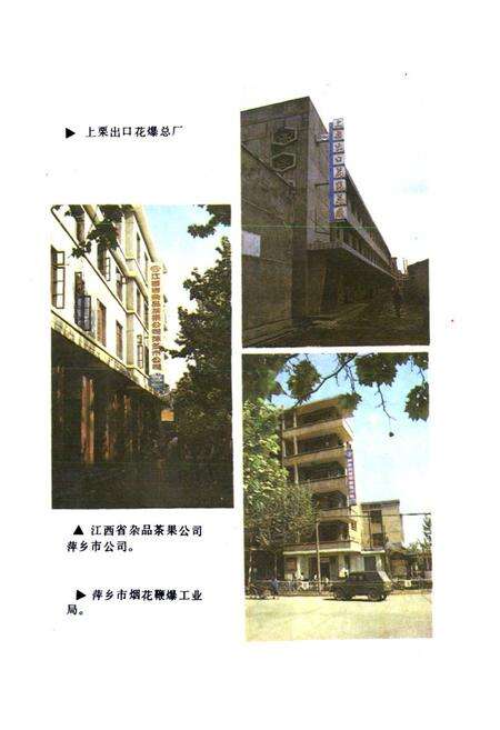 《萍乡鞭爆烟花史料》.pdf_江西省志预览图2