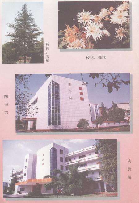 《《江西省宜春市第三中学二十周年校史志》(1980-2000)》.pdf_江西省志预览图3