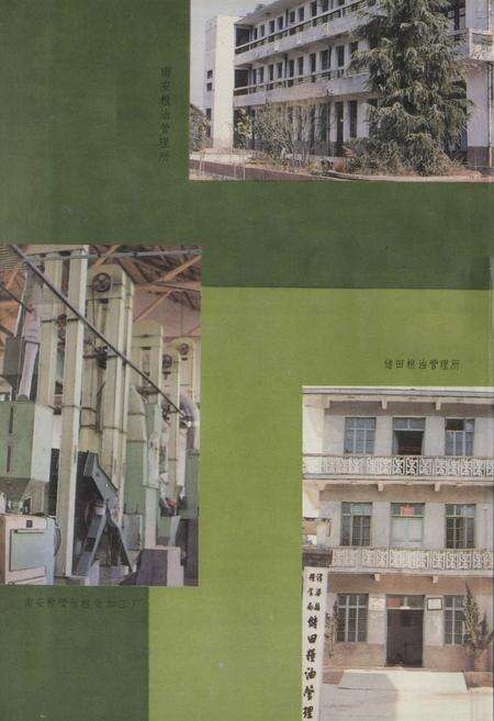 《景德镇市粮食志》.pdf_江西省志预览图5