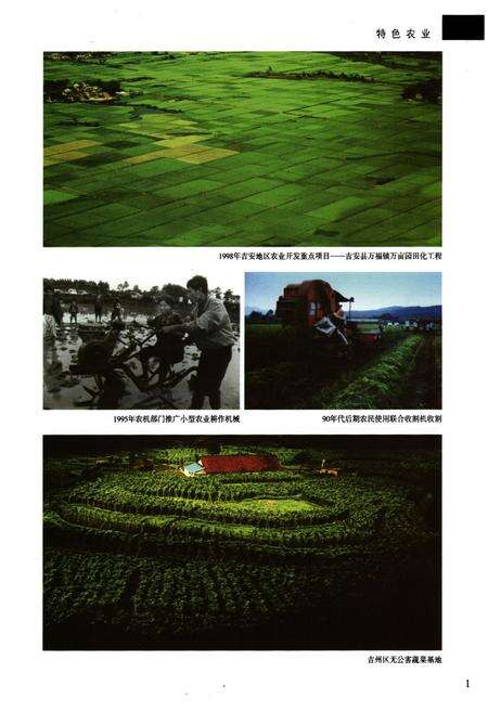 《吉安地区志(第二卷)》.pdf_江西省志预览图2