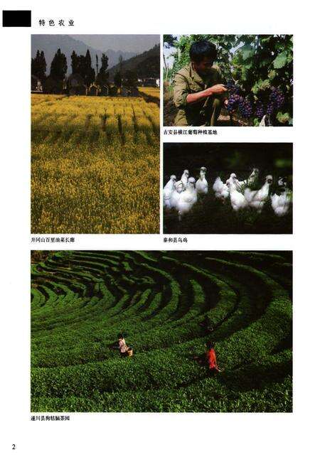 《吉安地区志(第二卷)》.pdf_江西省志预览图3