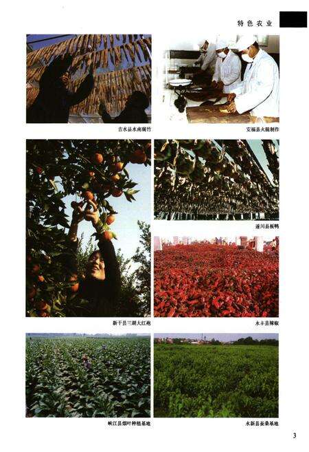 《吉安地区志(第二卷)》.pdf_江西省志预览图4