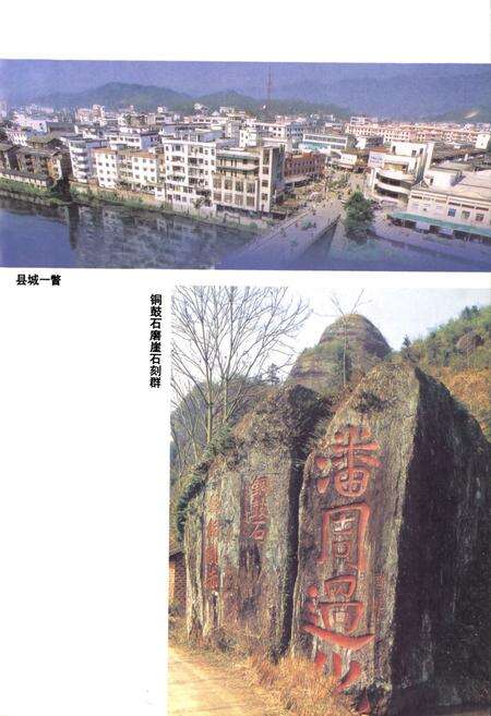 《《铜鼓县人大志》(1929-2003)》.pdf_江西省志预览图5